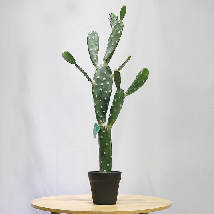 Artificial-Cactus-Plants-Faux-Decoration-Greenery-Lifelike-Cactus-Plants-Bonsai-for-Home-Decor (5).jpg 